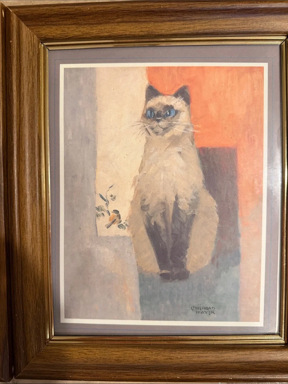 Pair of Framed Cat Art Prints in Brown Wood Frames - Blue, Cream, Yellow